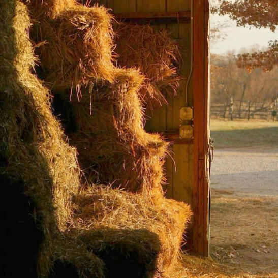 All That is Left of Me (It's Yours) - 2026